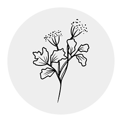 Flower icon