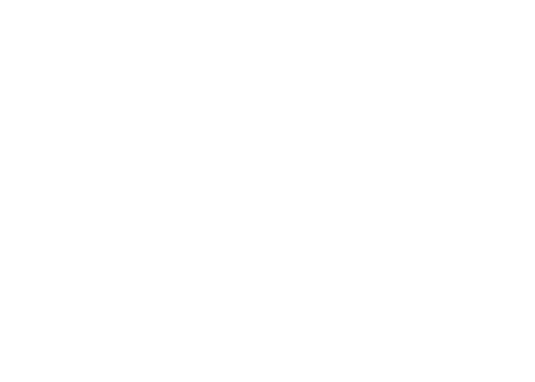 Virag Horvath