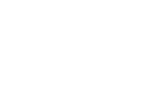 Virag Horvath